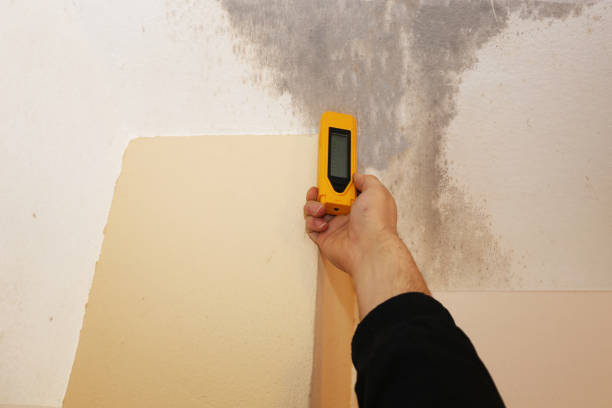 Best Forensic Mold Investigation  in Albany, IN