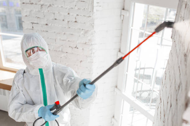 Best Water Damage & Mold Remediation  in Albany, IN