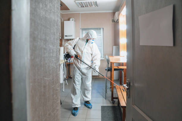 Best Water Damage & Mold Remediation  in Albany, IN
