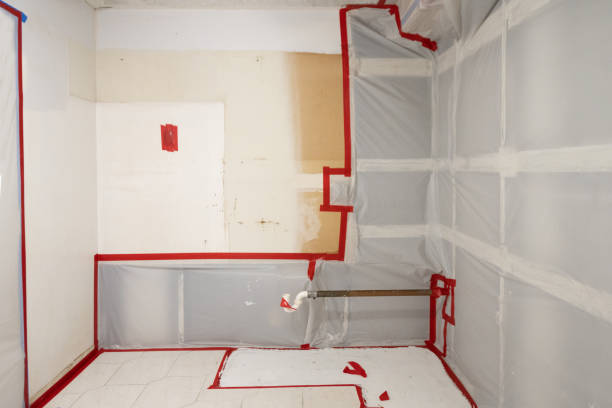 Best Biohazard Mold Removal  in Albany, IN