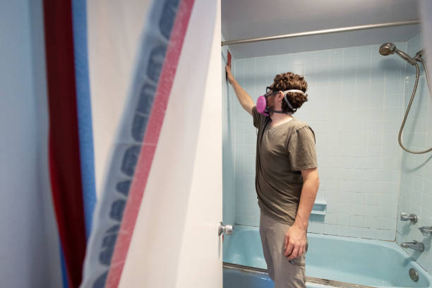 Mold Documentation for Insurance Claims in Albany, IN