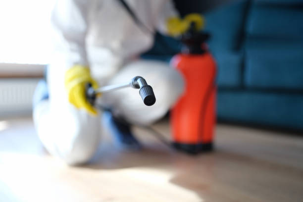 Best Mold Prevention Services  in Albany, IN