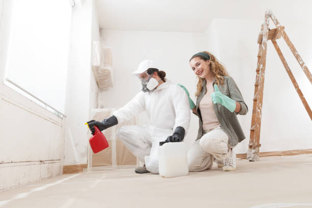 Best Attic Mold Removal  in Albany, IN