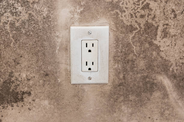 Best Mold Remediation for Vacation Homes  in Albany, IN